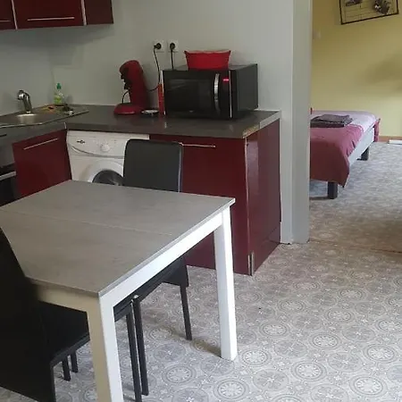 Apartment Le Refuge - F1 - Rez-de-chaussee Epinal